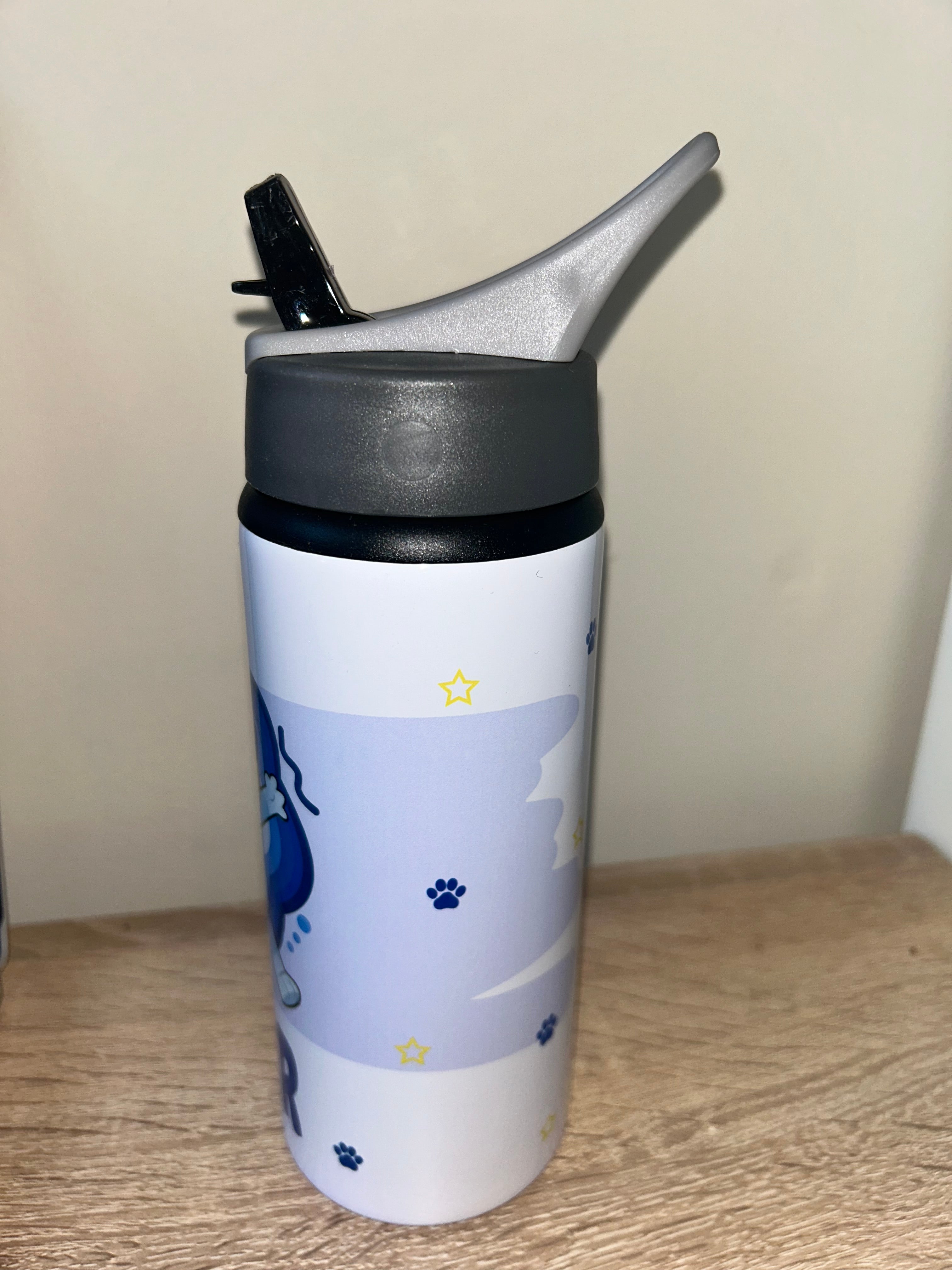 Character/Bluey Themed Personalised 600ml Aluminium Water Bottles - made with your favourite characters! School Water Bottle, Summer Ready.