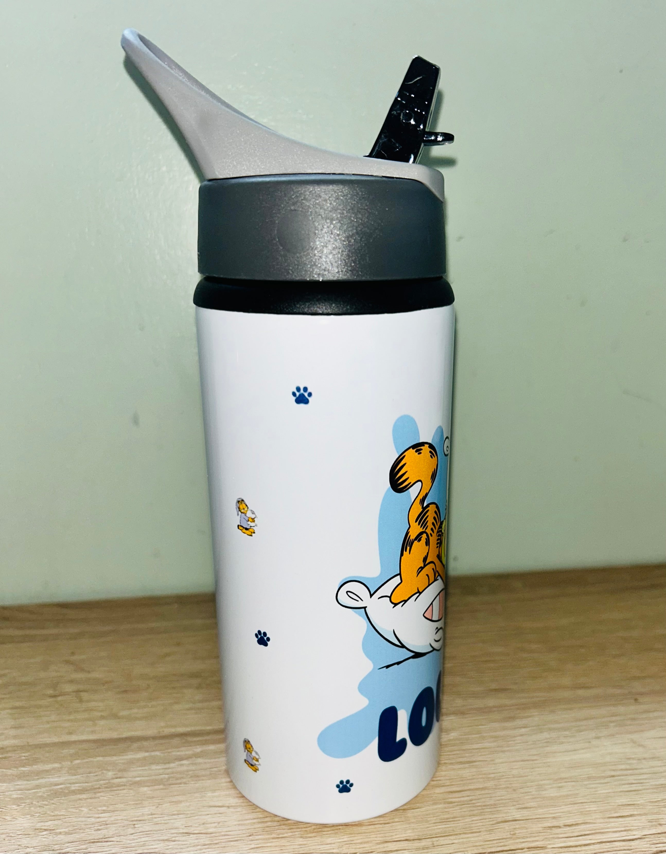 Character/Garfield Themed Personalised 600ml Aluminium Water Bottles - made with your favourite characters! School Water Bottle, Summer Ready.