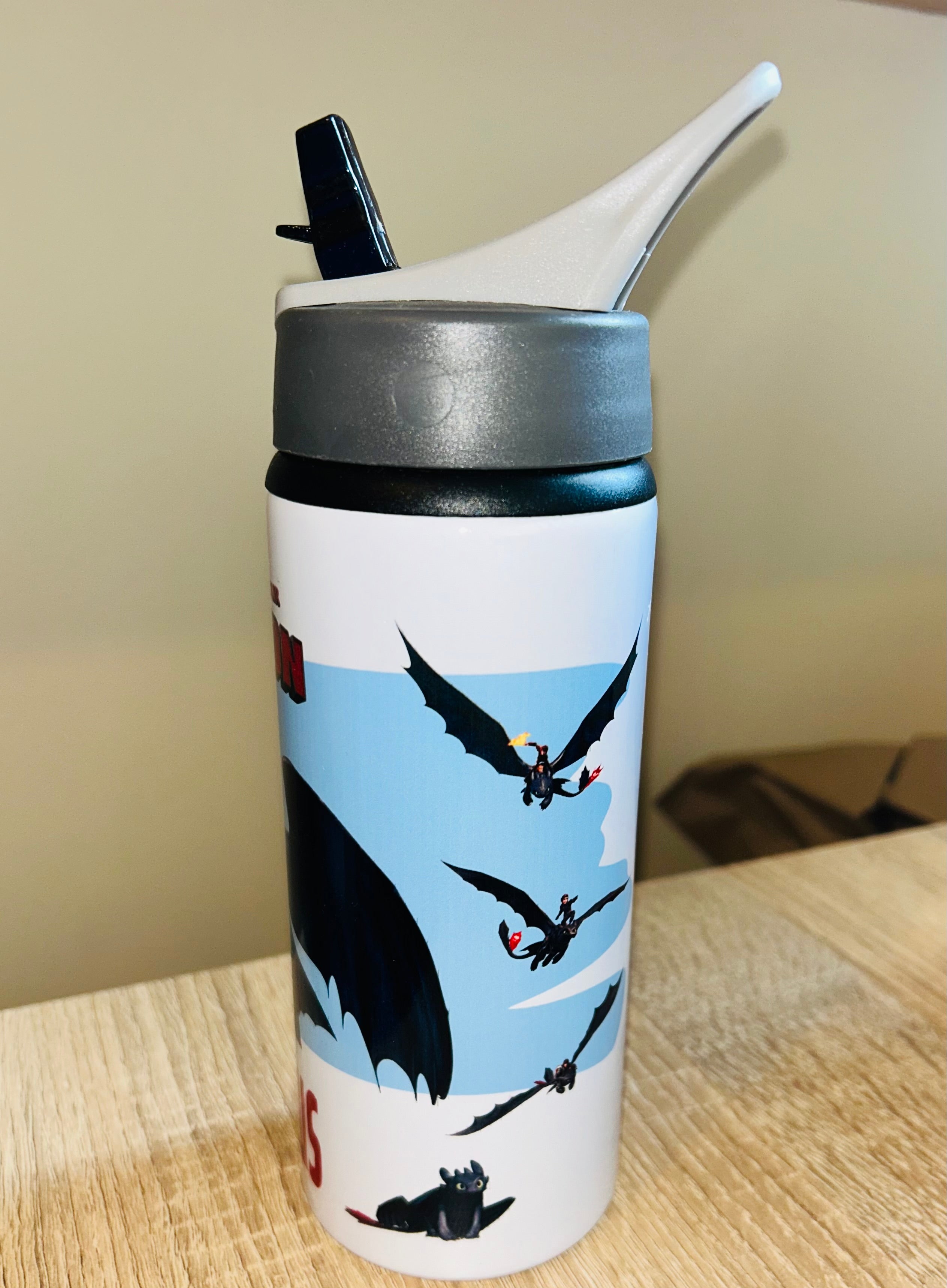 Character/Train your Dragon Themed Personalised 600ml Aluminium Water Bottles - made with your favourite characters! School Water Bottle, Summer Ready.