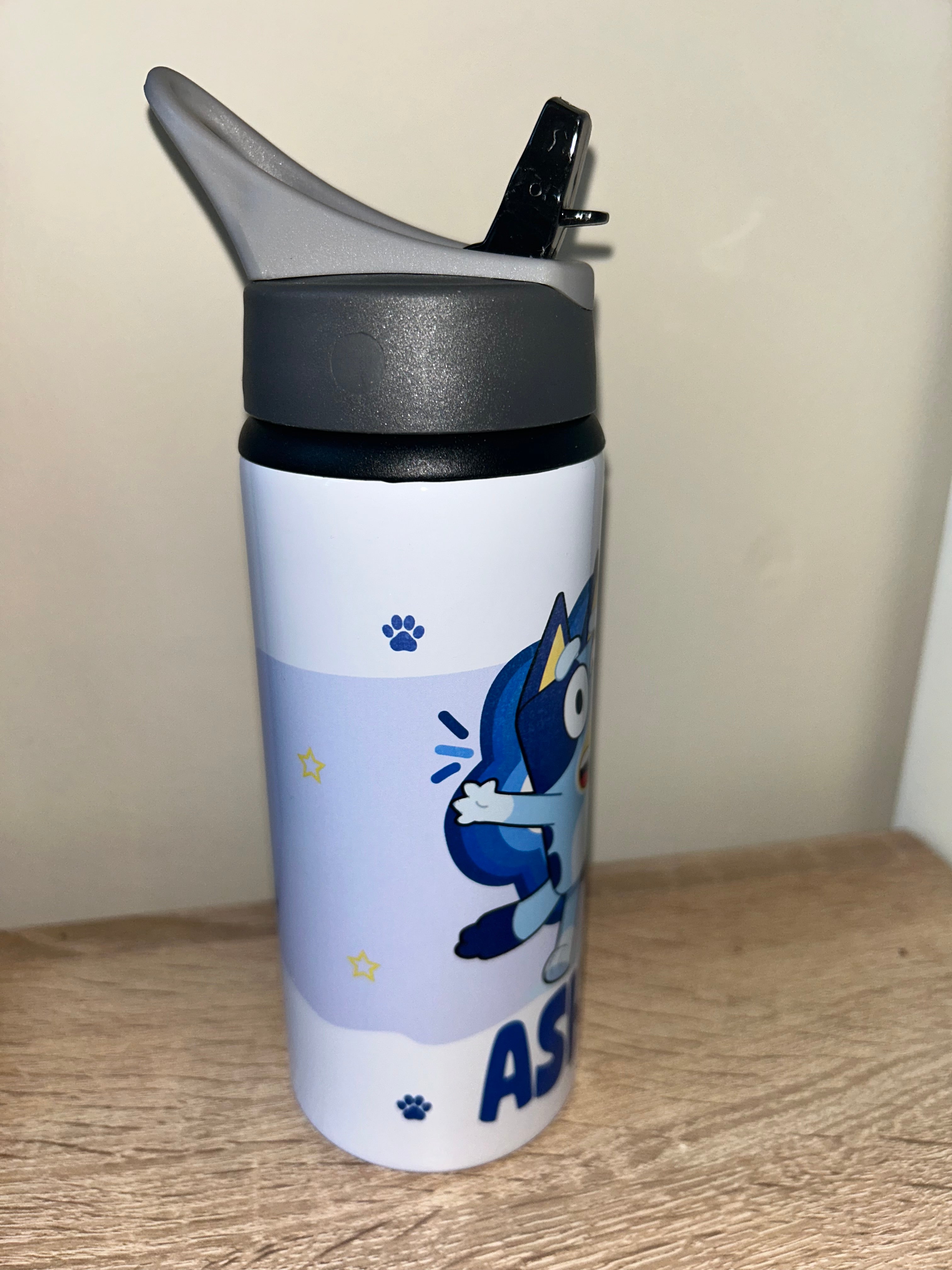 Character/Bluey Themed Personalised 600ml Aluminium Water Bottles - made with your favourite characters! School Water Bottle, Summer Ready.