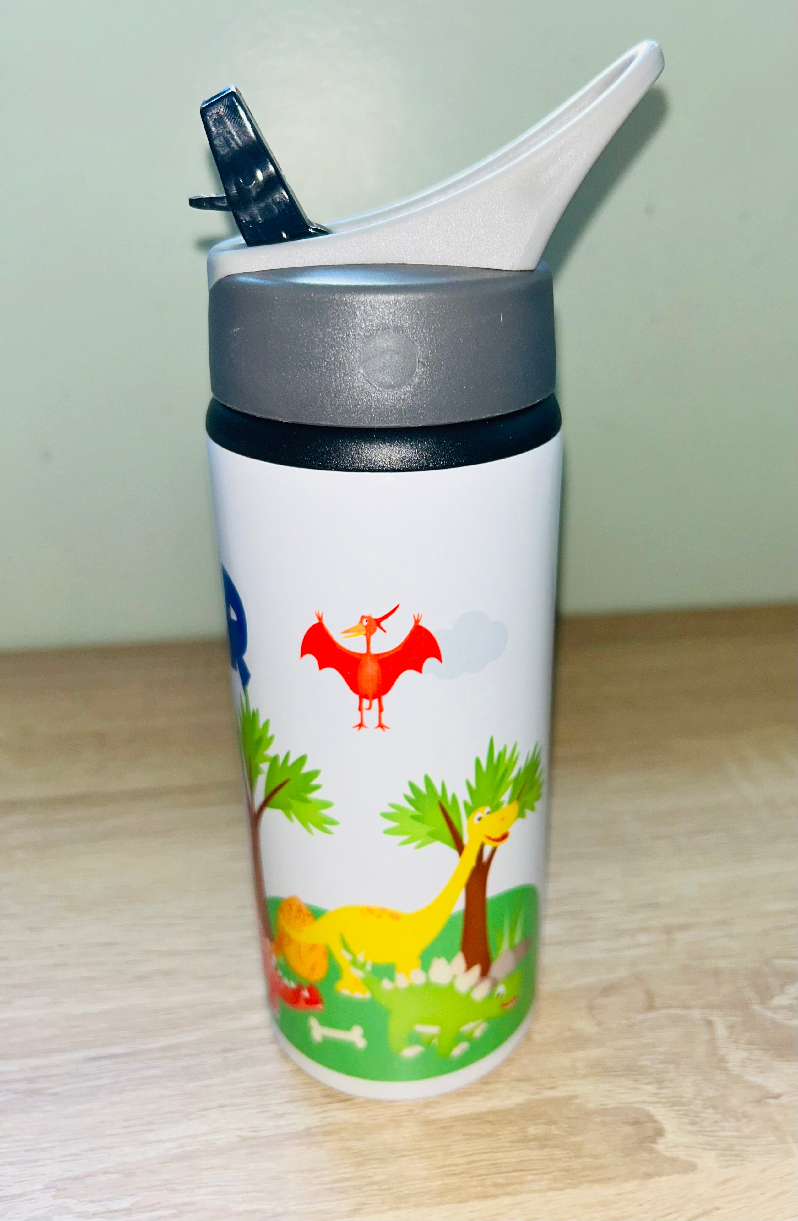 Dinosaur Themed Personalised 600ml Aluminium Water Bottles - made with your favourite characters! School Water Bottle, Summer Ready.